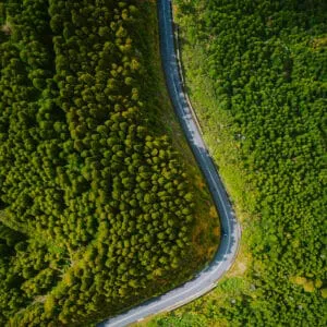 Mandatory Vietnam Register Certification