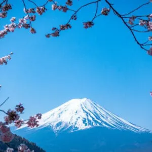Japan PSE Certification