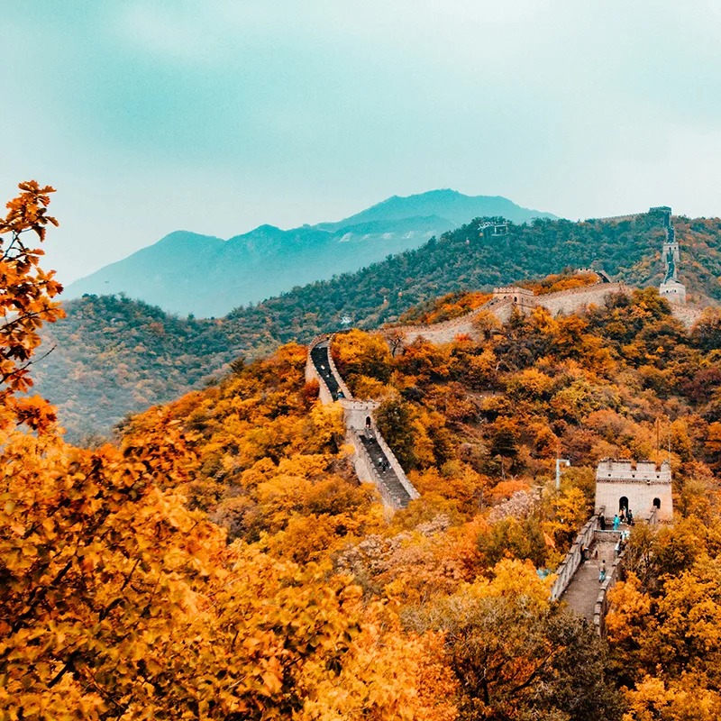 CCC Certificate China - MCM