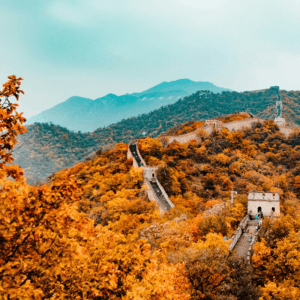 CCC certification - MCM