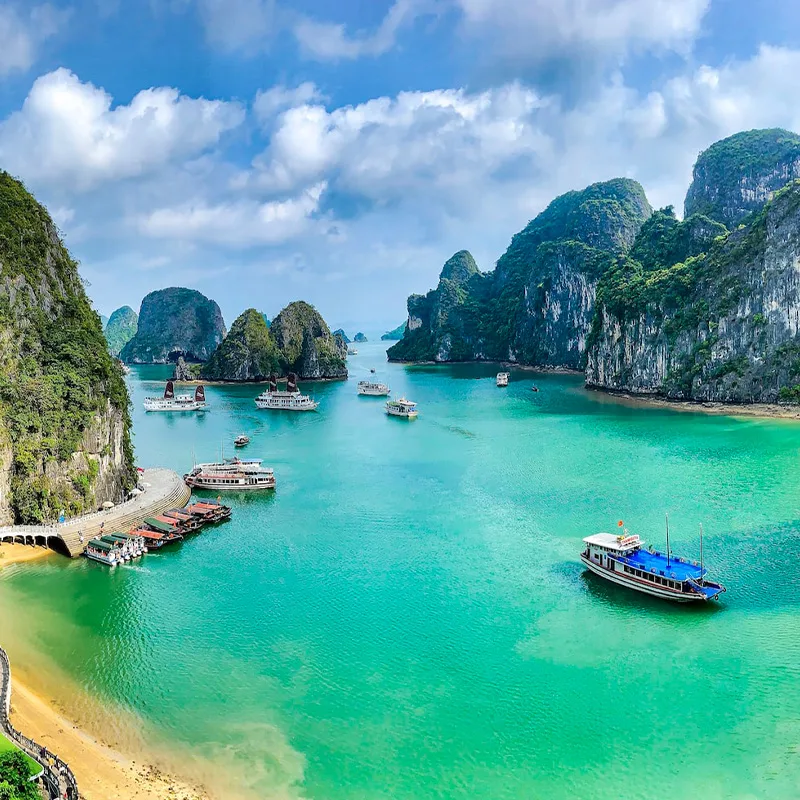 ccc certification+MCM