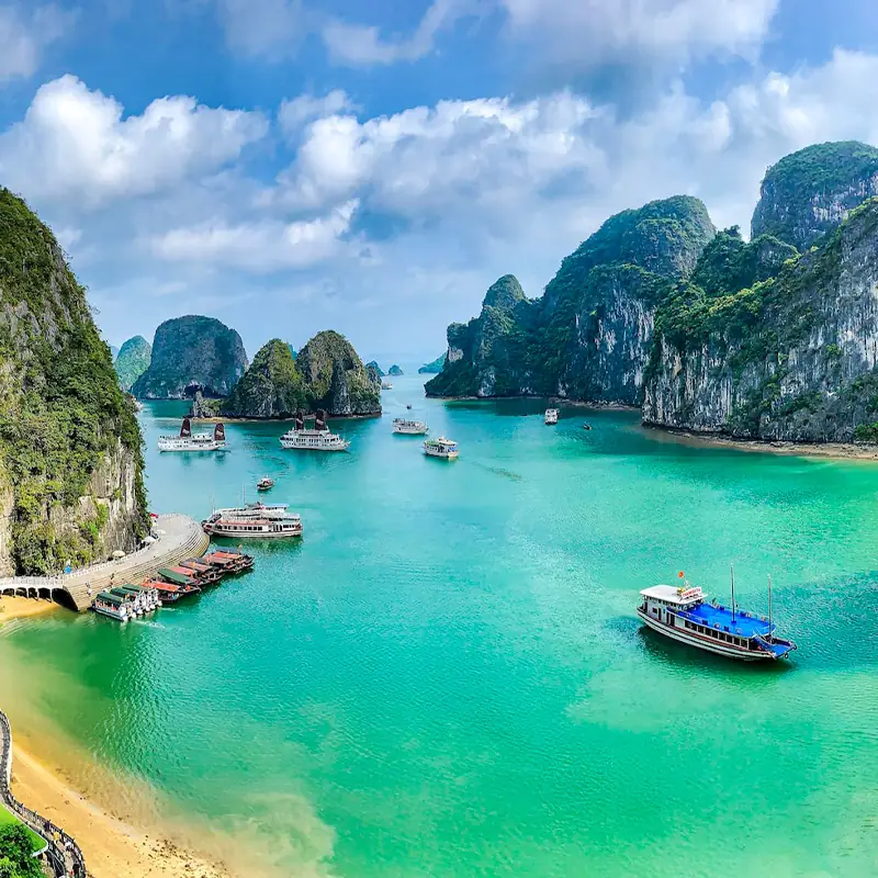 MIC certification - MCM